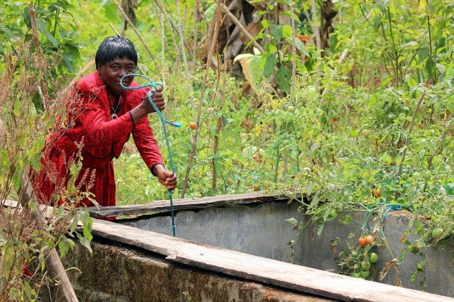 The Link between Climate Change and Gender Inequality