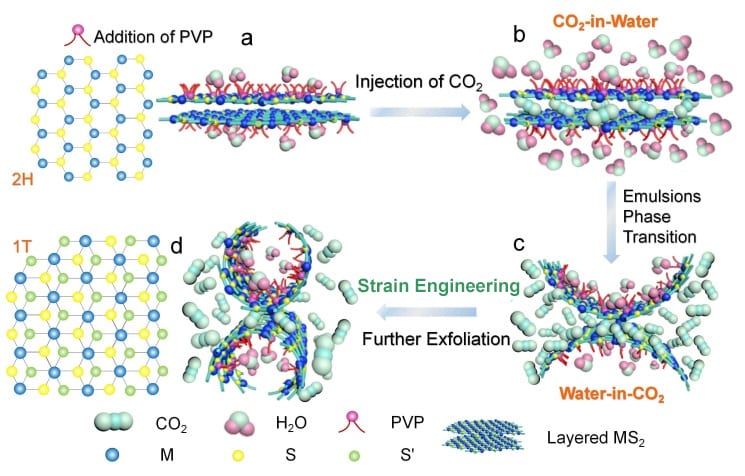 Phase Control of 2D Materials with Reverse Micelles