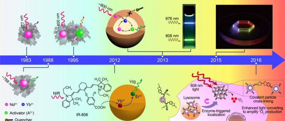 Hitting the Sweet Spot towards Multiple Bioimaging, Biosensing, Drug Delivery Applications