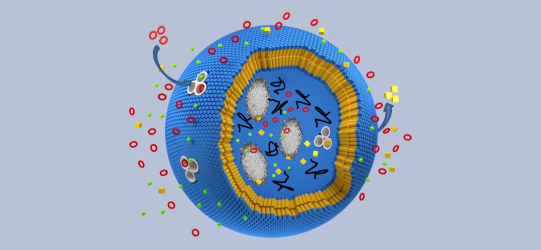 Crowded Work: Enzyme Kinetics in an Organelle-Like Environment