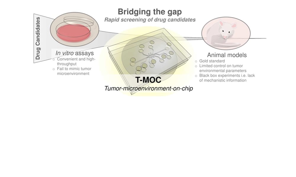 In vitro Microfluidic Models of Tumor Microenvironment to Screen Transport of Drugs and Nanoparticles