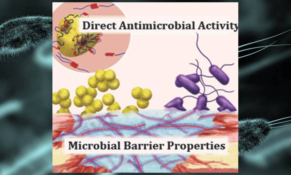 Two-in-One: A Copolypeptide Provides Antimicrobial Activity and Barrier Properties