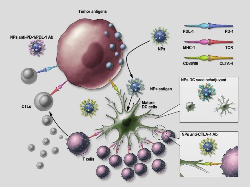 Nanomedicine Approaches to Improve Cancer Immunotherapy