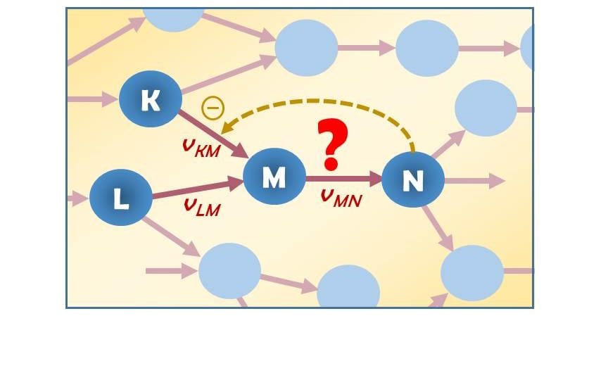 The Best Models of Metabolism