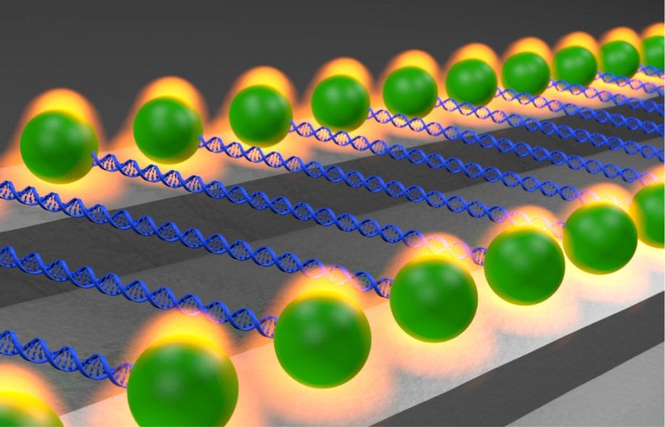 Nanophotonic Trapping: Precise Manipulation and Measurement of Biomolecular Arrays
