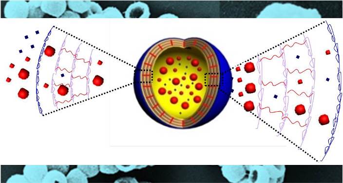 Mimic the Cell Membrane: Smart Capsules