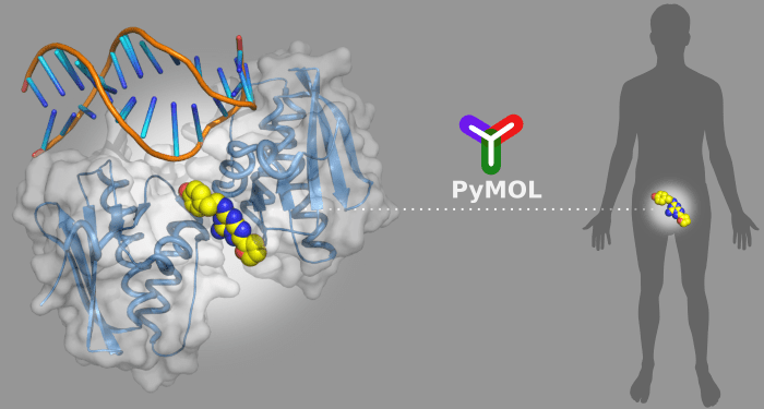 Using PyMOL as a Platform for Computational Drug Design