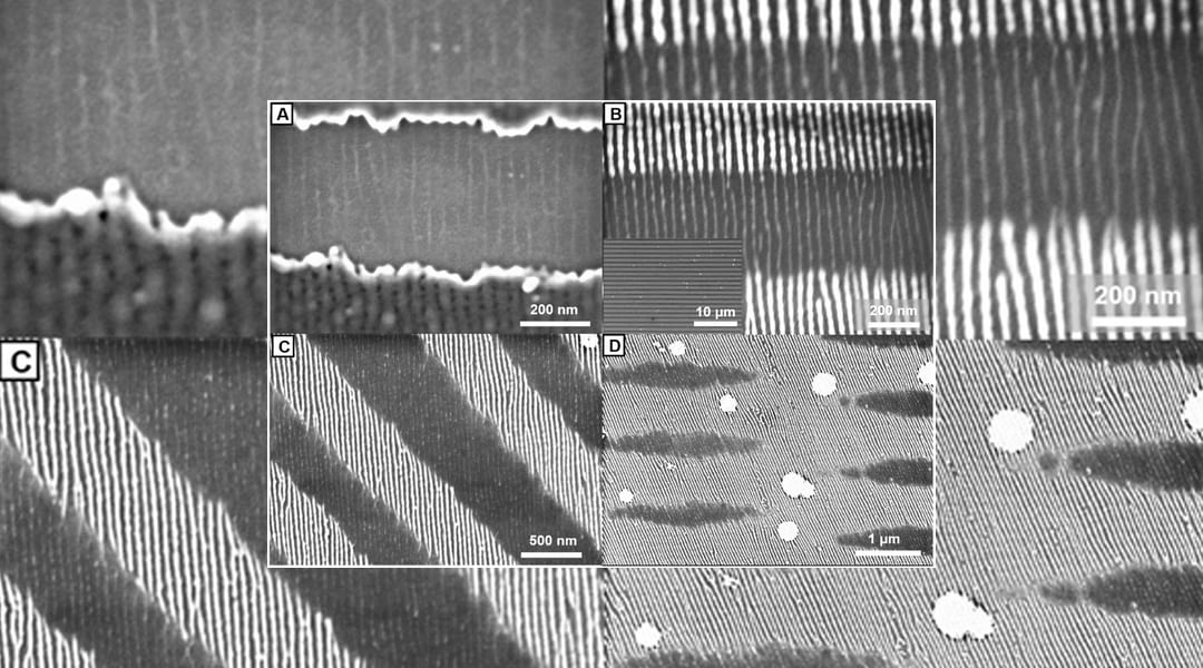 Location-Specific Compositional Control of 1D Materials