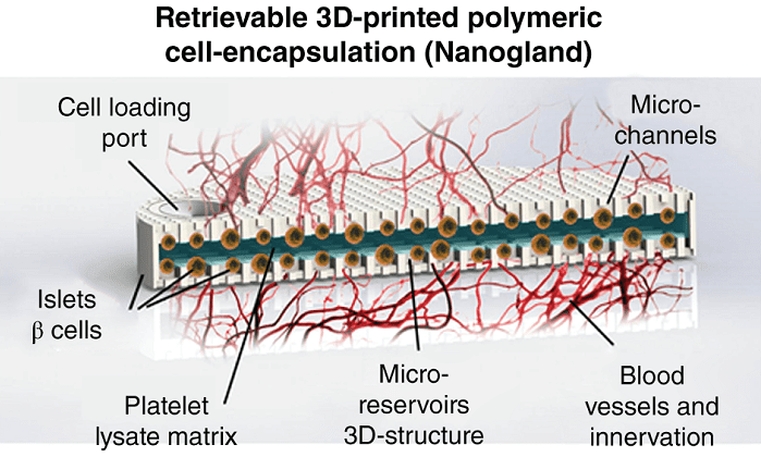 A Look at the Future of Medical Implantables