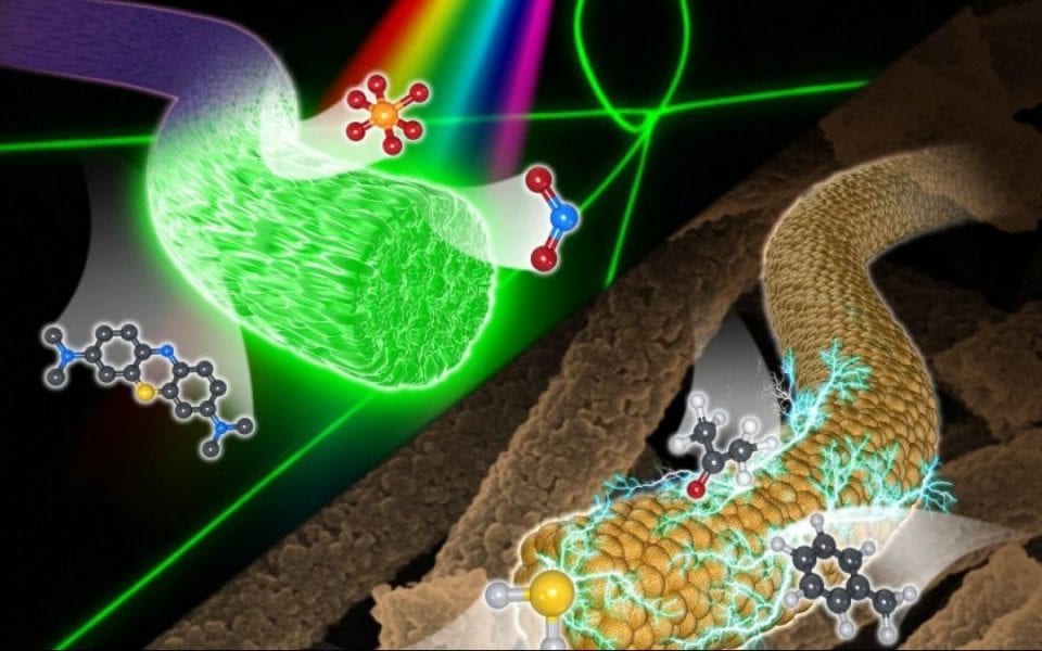 Electrospun Nanostructures for Chemical and Optical Sensors