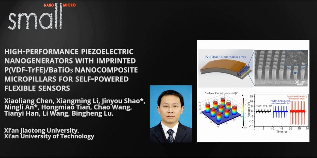 High-Performance Piezoelectric Nanogenerators