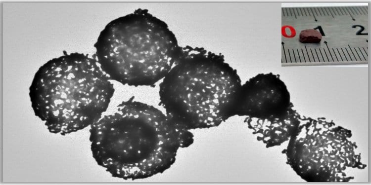 Monolithic Low-Density Porous Au