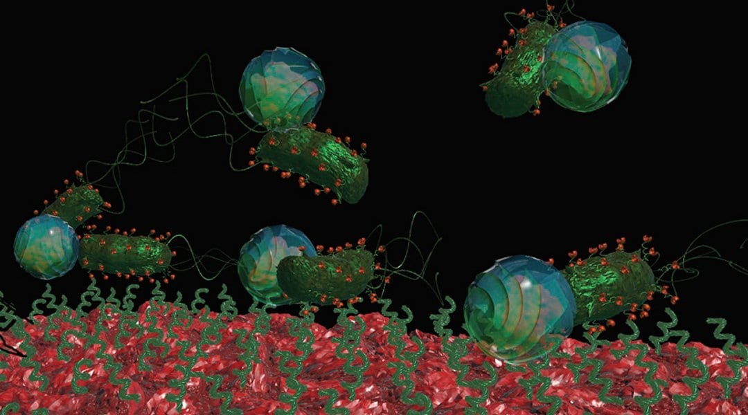 Bacteria-Driven Drug Delivery Carriers: A Paradigm Shift