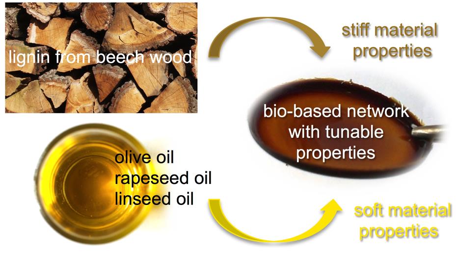 Thermosetting Polymer Films with Tunable Mechanical Properties from Renewable Resources