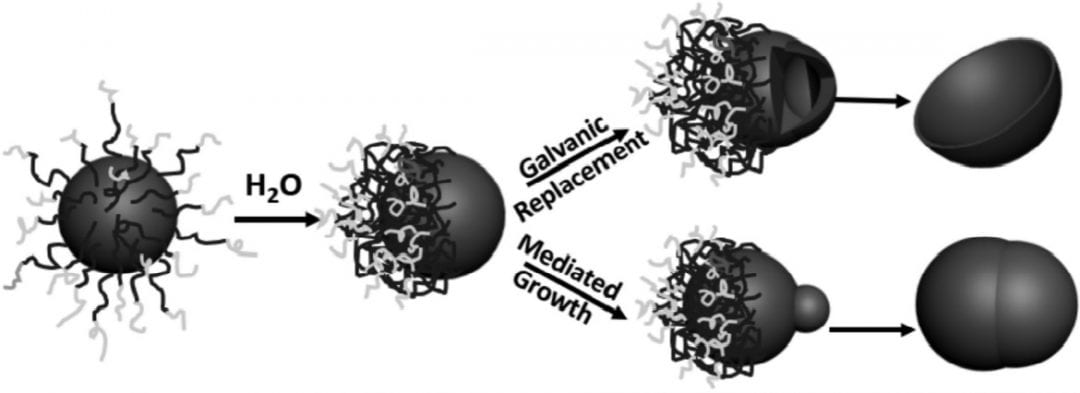 Hydrophobicity the Key to Asymmetric Metal Nanoparticle Synthesis