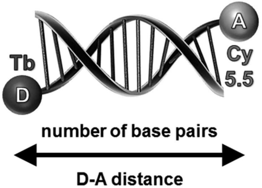 Multiplex FRET Biosensor Simplifies Nucleic Acid Detection
