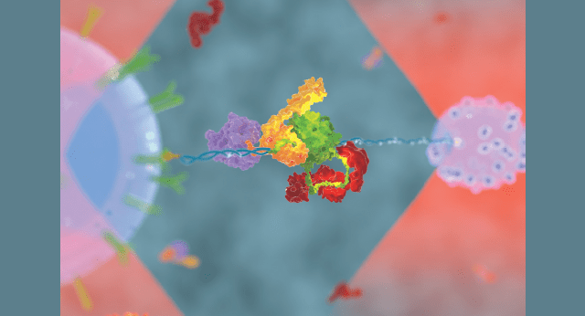 Single-Molecule Molecular Machines