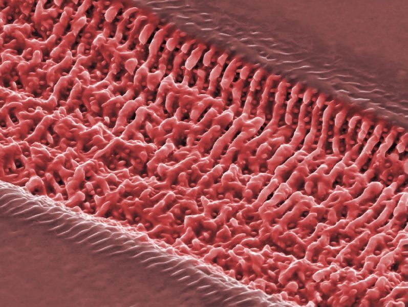 Competing Structures in (In,Ga)Se and (In,Ga)2Se3 Semiconductors