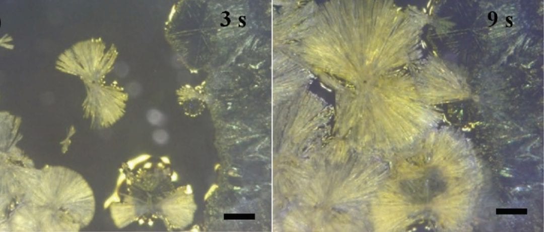 To PCE Infinity and Beyond: Recent Perovskite Research