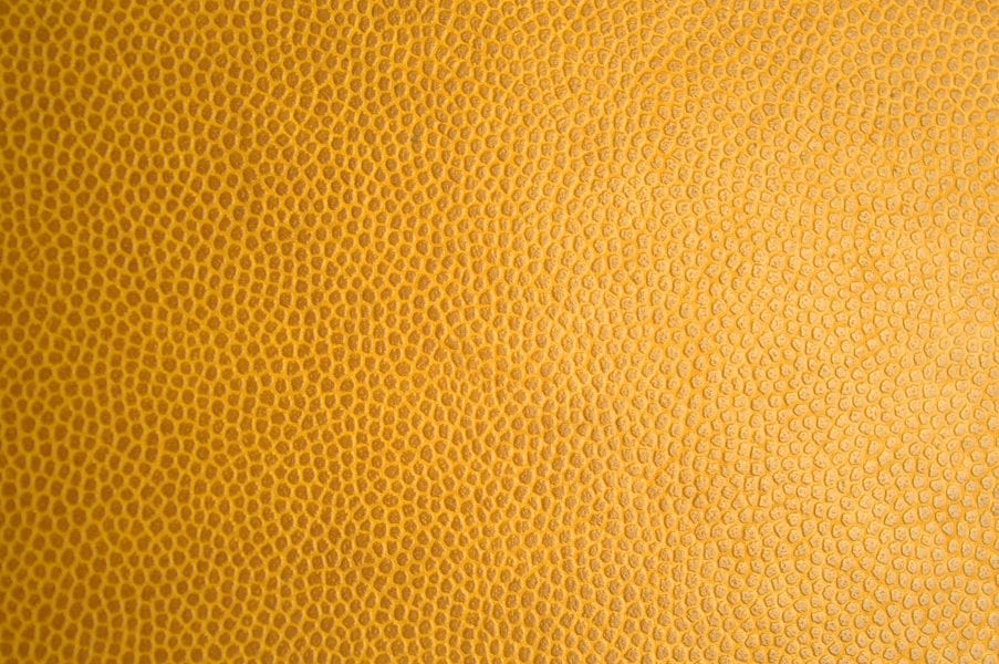 Skin-Like Polymeric Coatings