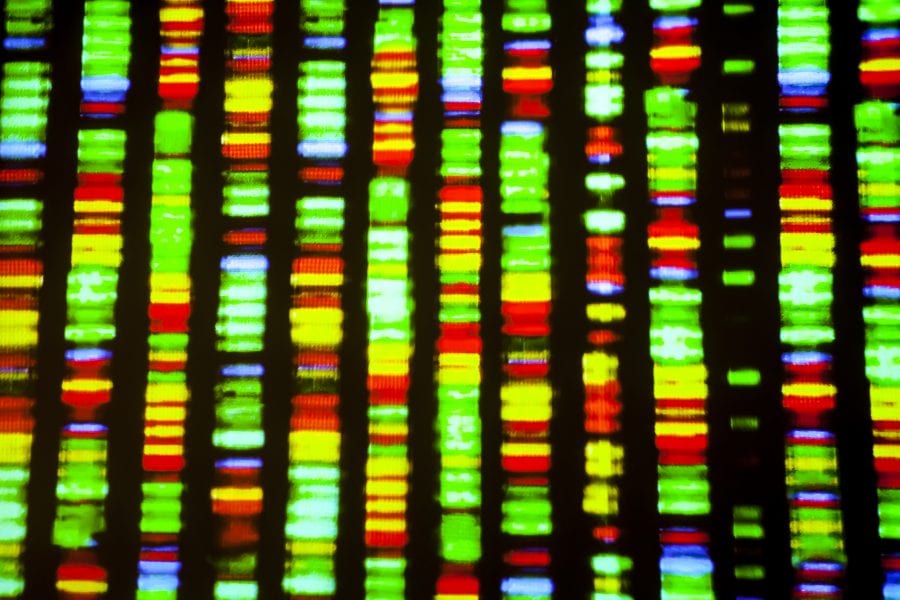 RNA Structure, Binding, and Coordination in Arabidopsis