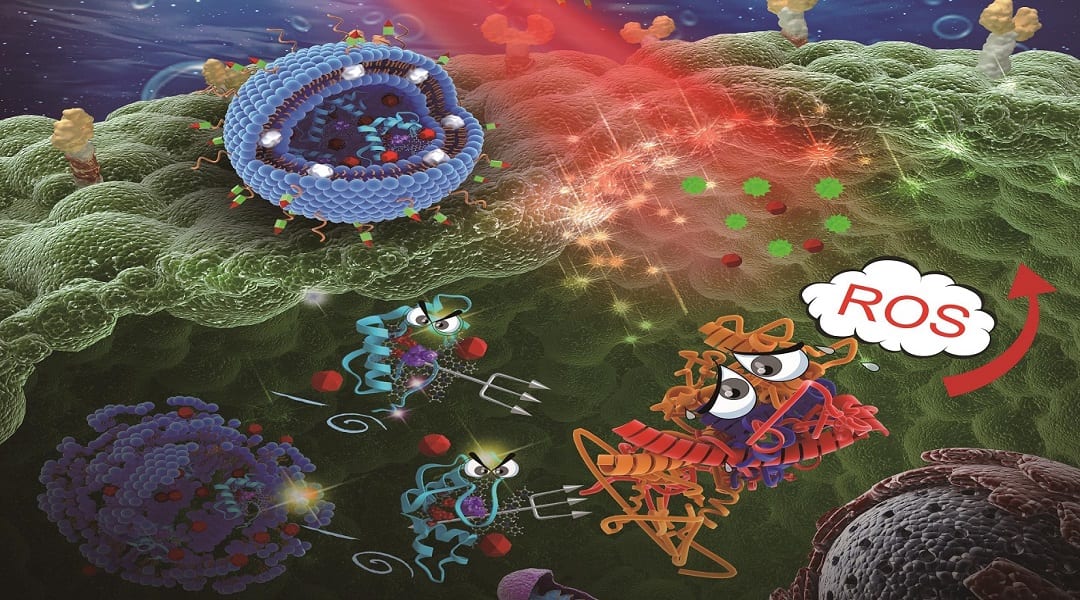 Reaching Gold Standards in Photodynamic Therapy