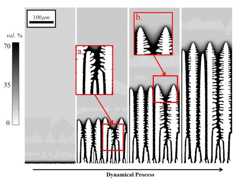 Modeling of Microstructural Evolution by Freeze-Casting