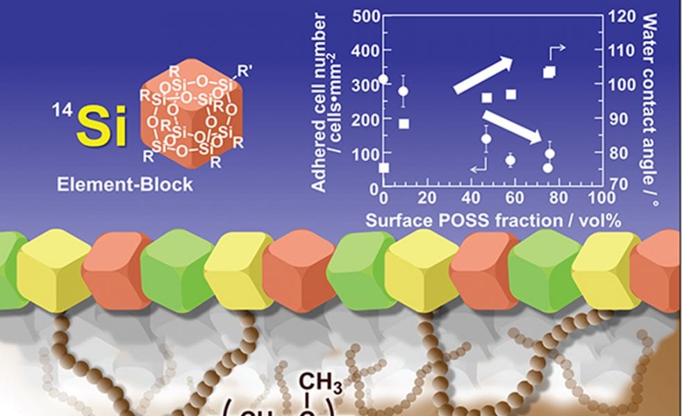 60 Years of Living Anionic Polymerization