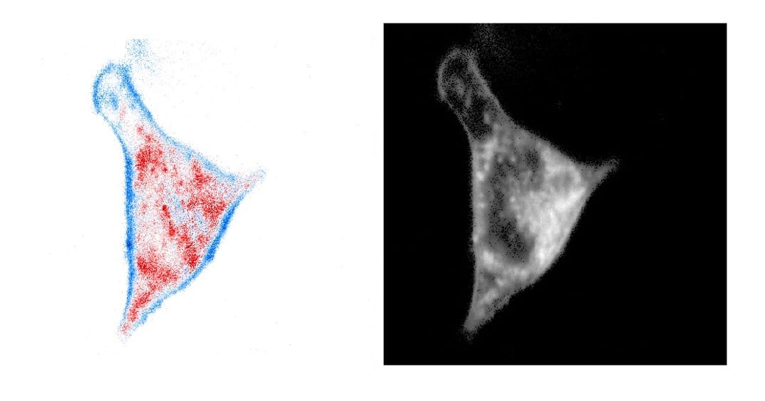 Stop The Noise! New Analysis Method for FLIM Data is Noise-Corrected