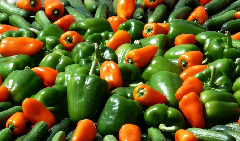 Plasma-Processed Air To Keep Your Fruit and Veggies Fresh