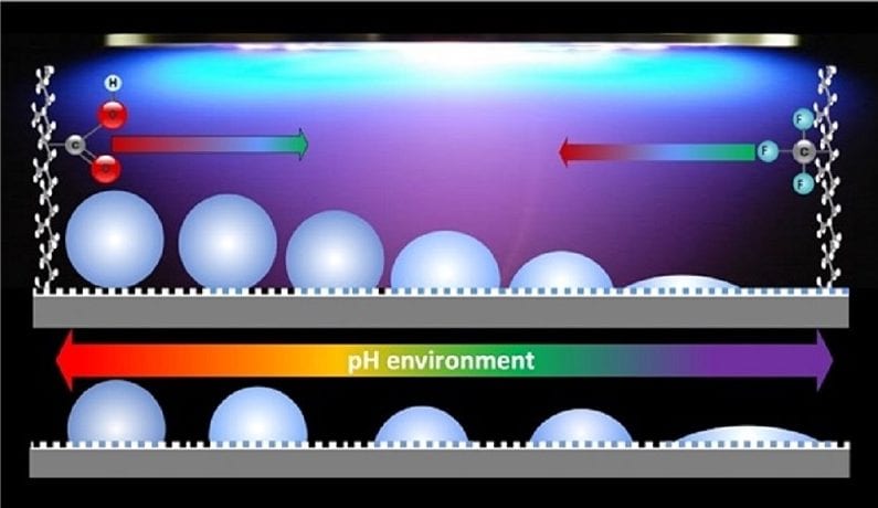 A New Straightforward Protocol for the Fabrication of Multifunctional Smart Coatings