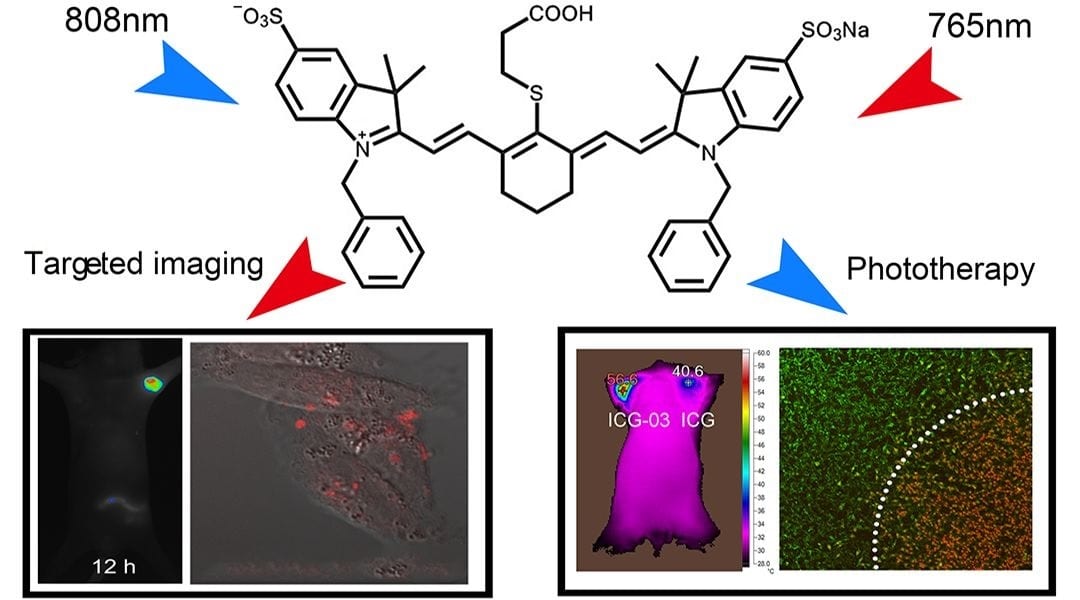 Multifunctional Small Molecular Fluorophore for Cancer Therapy