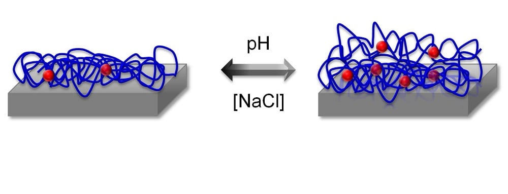 A Deeper Dive Into Plasma Polymer Films In Hydrated Conditions