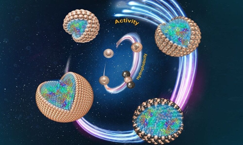particles in stabilizing food emulsions essay Abstract nanoparticles are a promising alternative to surfactants to stabilize emulsions or foams in enhanced oil recovery (eor) processes due to their effectiveness in very harsh environments found in many of the oilfields around the world. particles in stabilizing food emulsions essay Abstract nanoparticles are a promising alternative to surfactants to stabilize emulsions or foams in enhanced oil recovery (eor) processes due to their effectiveness in very harsh environments found in many of the oilfields around the world.
