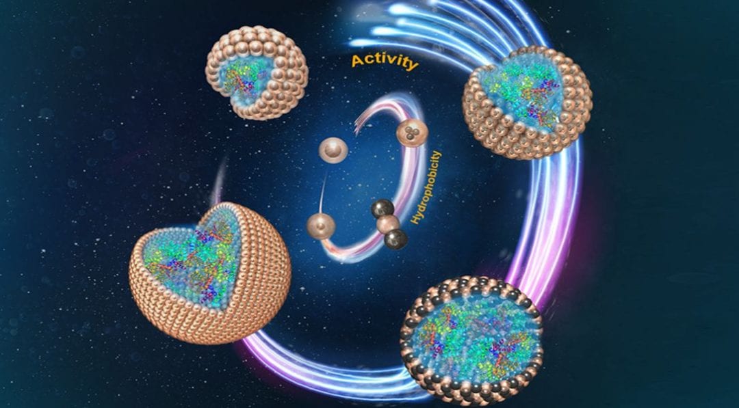 Stabilizing Pickering Emulsions for Enzyme Catalysis