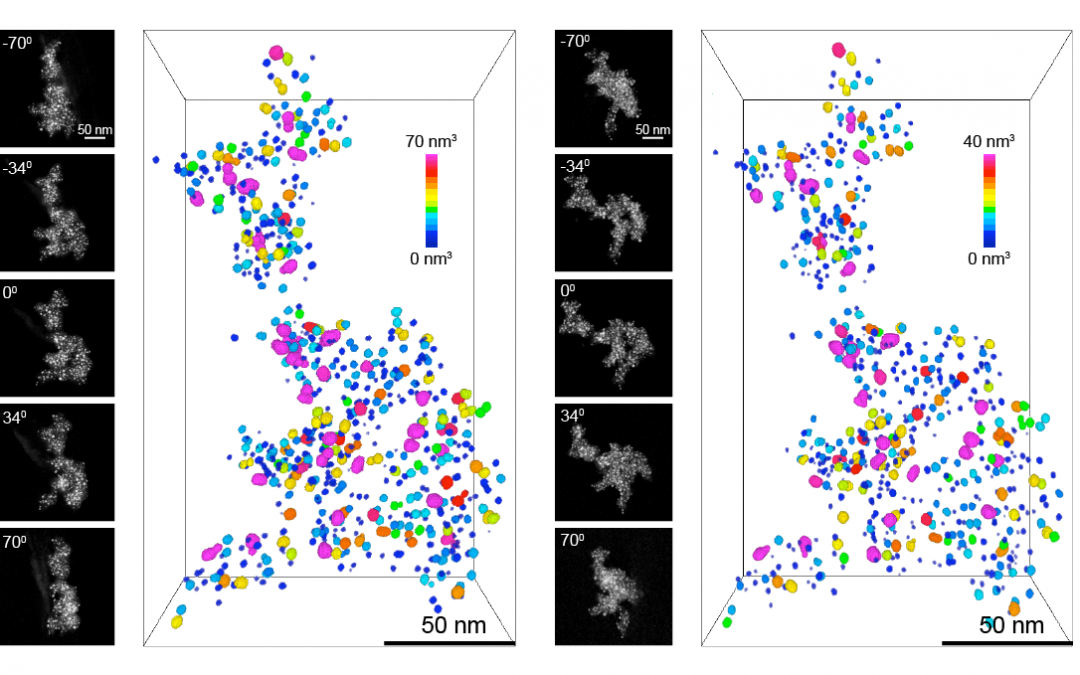 3D Insight into the Structural Changes of Catalyst Materials in Fuel Cells