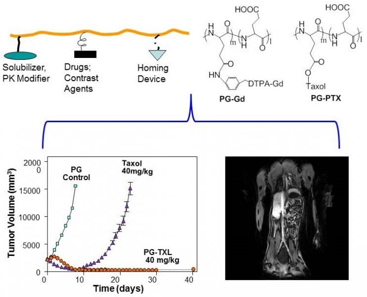 Chemotherapy or not? Clinical Studies of Poly(L-Glutamic acid)-Paclitaxel