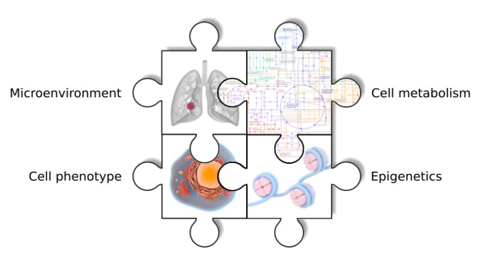 Metabolic Interactions in Cancer