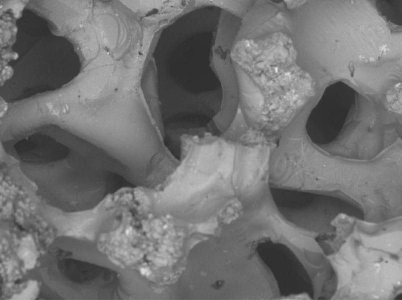 Manufacturing of a Magnesium “Sponge”