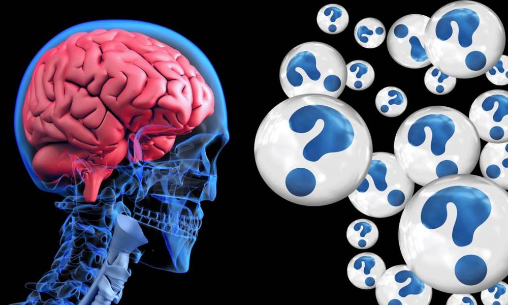 Novel Formulation Additives for an Anti-Alzheimer’s Disease Drug