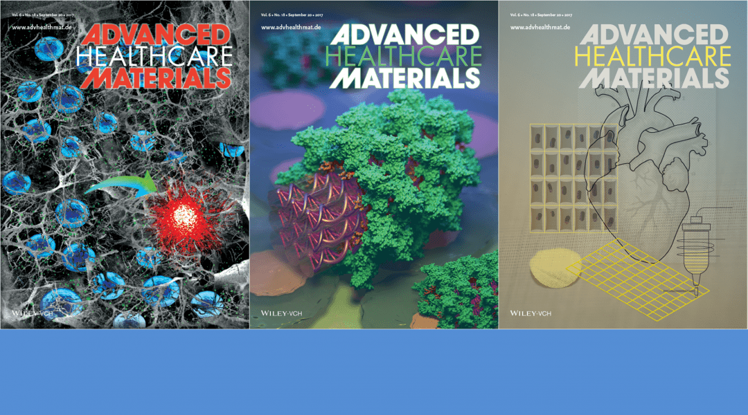 Cover Art – Featuring DNA Origami, Cardiac Scaffolds and Stem Cells