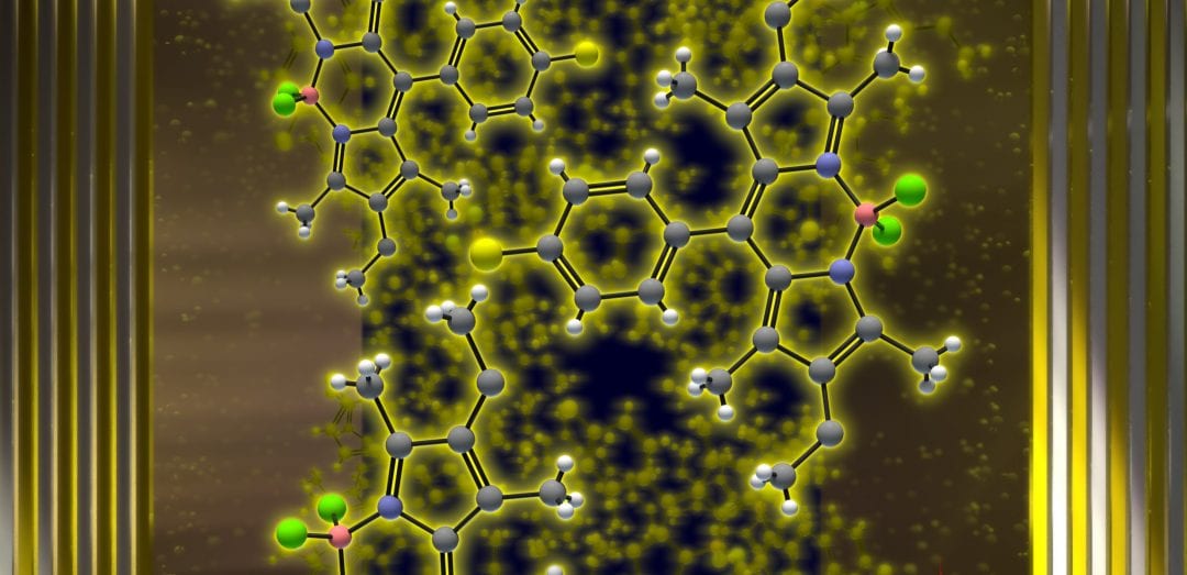 A Yellow Polariton Condensate in a Dye Filled Microcavity