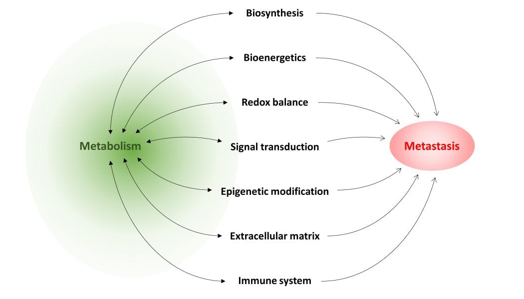Metabolism in Cancer Metastasis: Bioenergetics, Biosynthesis and Beyond