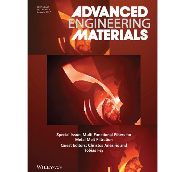 Multi-Functional Filters for Metal Melt Filtration