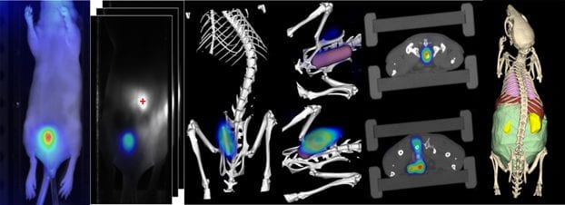 Improved FMT Technology To Image Deep Tissue Regions