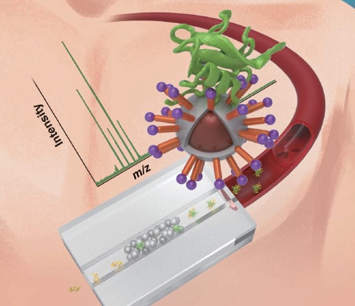 Microchip for phosphoproteomics