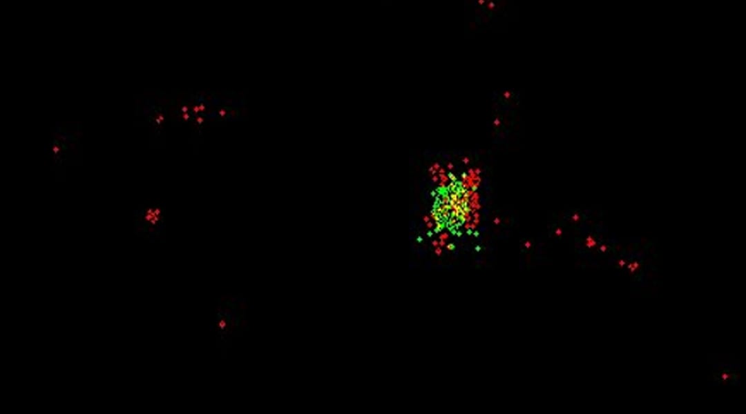 STORMing their way to Nanoparticle–Protein Interaction Understanding