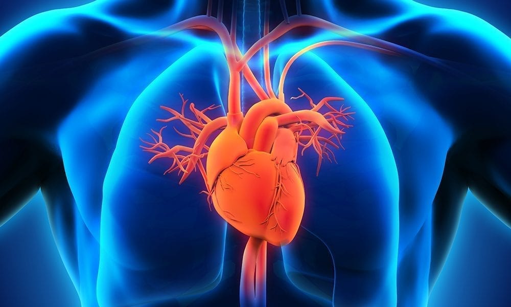 Take Heart SelfPowered Wearable Sensor for Cardiovascular Disease