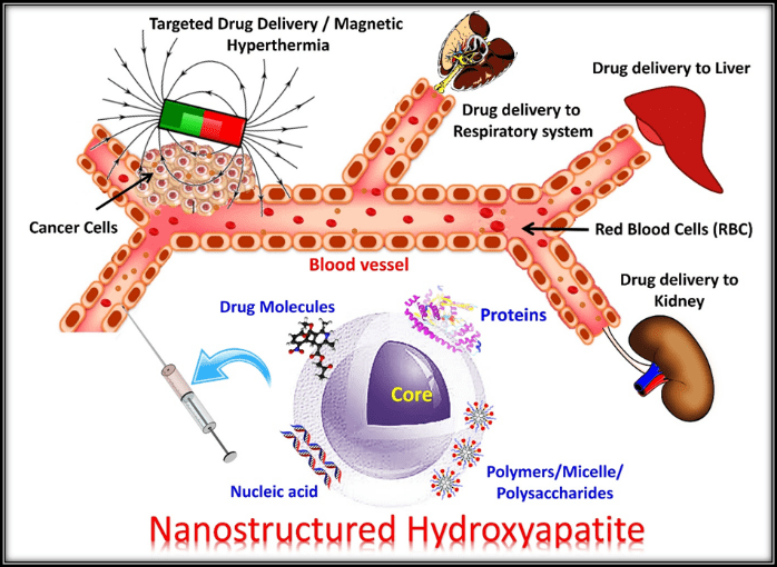 Recent Progress on Fabrication and Drug Delivery Applications of Nanostructured Hydroxyapatite