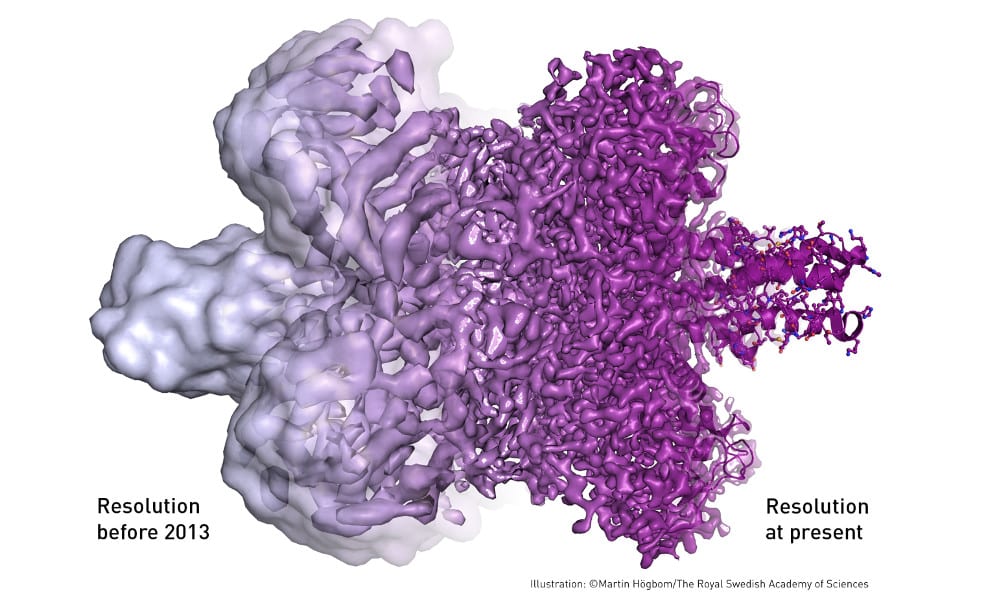 Nobel Prize in Chemistry: Cryo-Electron Microscopy for Biochemistry